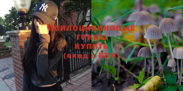 гидропоника Заводоуковск