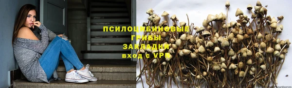 мяу мяу кристалл Ельня
