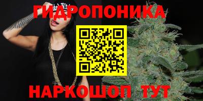 гидропоника Гусиноозёрск