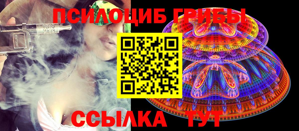 Сибай  Псилоцибиновые грибы GOLDEN TEACHER  Вход с VPN 
