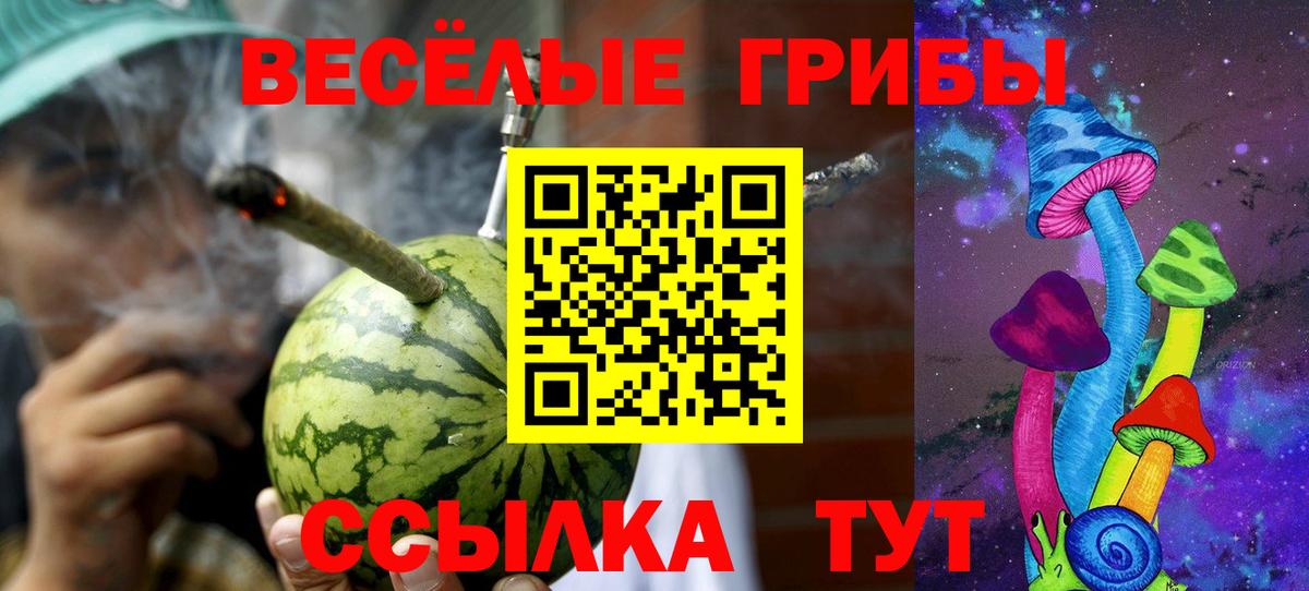 Галлюциногенные грибы Psilocybe Сибай